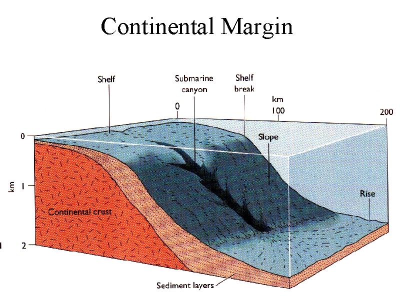 continental margin